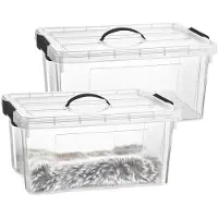PlasticForte Opslagbox - 2x - met deksel - transparant grijs - 34 liter - 53 x 39 x 25 cm - kunststof - opbergdoos - opbergen