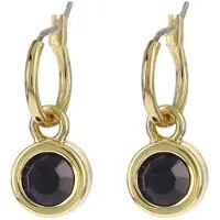 Biba 80313 Oorhangers goud Purple Velvet