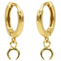 Karma hinged hoops symbool tigertooth gold M1948HIN