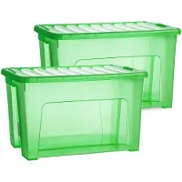 PlasticForte Opslagbox - 2x - met deksel - transparant groen - 47 liter - 54 x 38 x 32 cm - kunststof - opbergdoos - opbergen