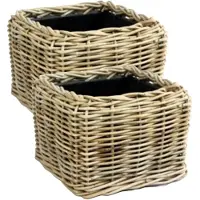 Van der leeden Planten/bloemen mand - 2x - vierkant - rotan - gevlochten riet - 31 x 31 x 24 cm - drypot