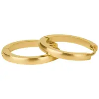 Kalli Oorringen Edelstaal Mat Goud 1859 (18mm)