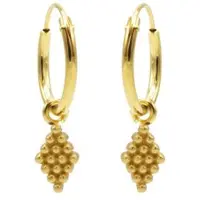 Karma symbols Oorring grapes goud M2948