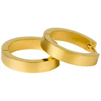 Kalli Oorringen Edelstaal Mat Goud 1863 (20mm)