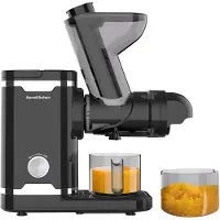 AoraKitchen Slowjuicer - met Omkeerfunctie - Sapcentrifuge - 500 ML - Juicer - voor Groenten en Fruit - Fruitpers - Zwart