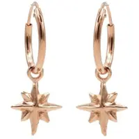 Karma Symbols oorbel Morningstar M1935