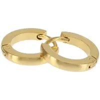 Kalli Oorringen Edelstaal Mat Goud 1845 (12mm)