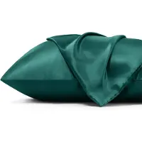 BOTC Kussensloop - Glans Satijn - Set van 2 - 51x76cm - Anti allergeen - Huidverzorging - Haarverzorging - Blauw