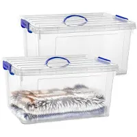 PlasticForte Opslagbox - 2x - met deksel - transparant blauw - 54 liter - 60 x 45 x 30 cm - kunststof - opbergdoos - opbergen