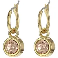 Biba 80313 Oorhangers goud Light Peach