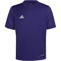 Adidas Functioneel shirt 'Tabela 23' zilvergrijs / donkerlila / wit