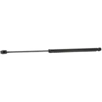 RIDEX 219G0834 Gasveer achterklep