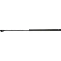 RIDEX 219G0683 Gasveer achterklep