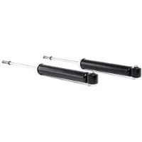 RIDEX 854S2317 Schokdemper