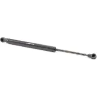 RIDEX 219G0777 Gasveer achterklep