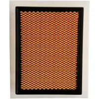 RIDEX 8A0035P Luchtfilter
