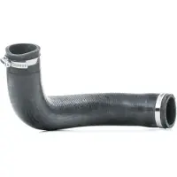 RIDEX 3314C0031 Laadluchtslang