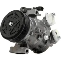 RIDEX 447K1062R Aircopomp