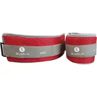 SVELTUS 2 x 1 kg