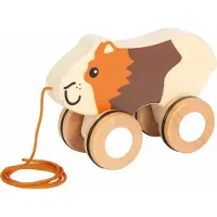 Small Foot - Houten Trekcavia