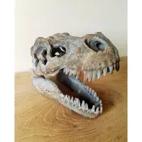 Nemesis Now - Tyrannosaurus Rex Skull Freestanding Beeld/figuur - Grijs