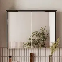 Fontana Grado spiegelkast met verlichting 80cm 2 deuren zwart mat