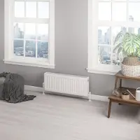 Eastbrook Type 22 paneelradiator 80x30cm 929W wit glans