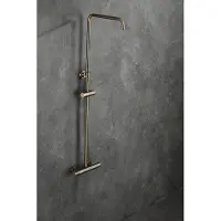 Saniclear Antique opbouw regendouche z. handdouche z. doucheslang verouderd messing