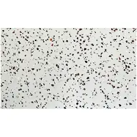 Saniclear Terrazzo toppaneel 81x46cm