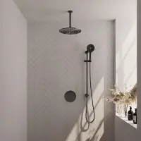 Brauer Gunmetal Edition thermostatische inbouw regendouche met 3 standen handdouche, plafondarm, glijstang en hoofddouche 30cm set 96 gunmetal geborsteld PVD