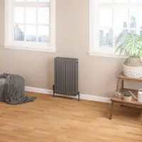 Eastbrook Keynsham paneelradiator met streep 40x60cm 788W antraciet