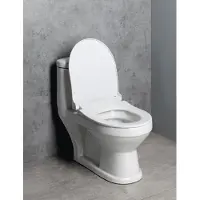 Aqualine Petit staand kinder toilet met toiletzitting wit