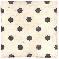 Terre d'Azur Tierra Royal wandtegel met decor 13x13cm wit - per 22 stuks