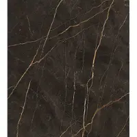 Jabo Saint Laurent vloertegel zwart marmer mat 120x120cm gerectificeerd