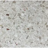 Terre d'Azur Granito Sardinie vloertegel 60x60cm beige terrazzo