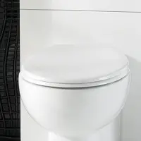 Eastbrook Rhone softclose toiletzitting wit glans