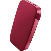 Fresh 'n rebel Powerbank 2PB24100BR