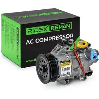 RIDEX 447K0821R Aircopomp