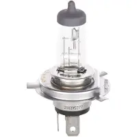 Bosch 1 987 301 415 Gloeilamp, verstraler
