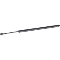 RIDEX 219G1057 Gasveer achterklep