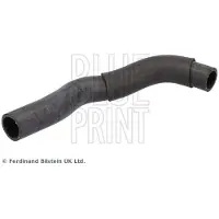 Blue Print ADBP930014 Radiateurslang