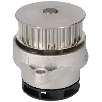 Ltd Edition -030121005N Waterpomp