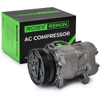 RIDEX 447K0060R Aircopomp