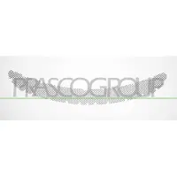 PRASCO PR5062206 Ventilatiegrille, bumper