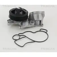 TRISCAN 8600 11040 Waterpomp