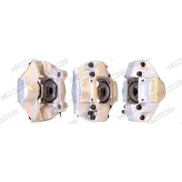 FERODO FCL691306 Remklauw