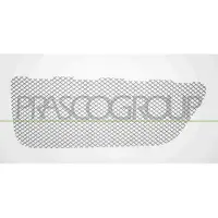 PRASCO PR5062124 Ventilatiegrille, bumper