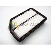 MOTAQUIP LVFA1465 Luchtfilter