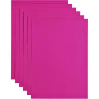 Papicolor Kopieerpapier A4 100gr 12 vel felroze - 4 stuks