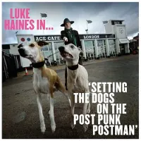 CHERR Luke Haines - Luke Haines In...Setting the Dogs On the Post Punk Postman (LP)